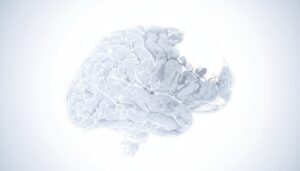 СДВГ связан с повышенным риском деменции: новый мета-анализ — риск возрастает почти в три раза