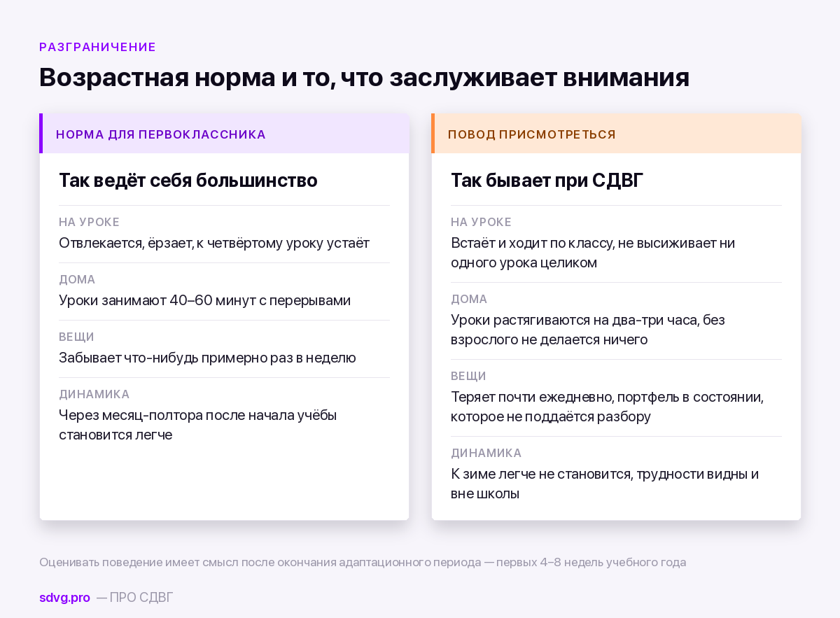 Норма первоклассника и признаки СДВГ