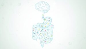 Микробиом кишечника и СДВГ: обзор клинических данных и рекомендации по питанию