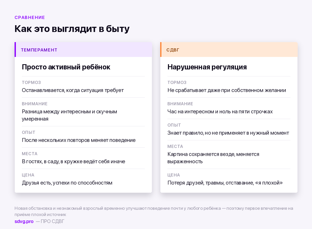 СДВГ или просто активный характер: пять отличий 3 Активный характер и СДВГ: сравнение