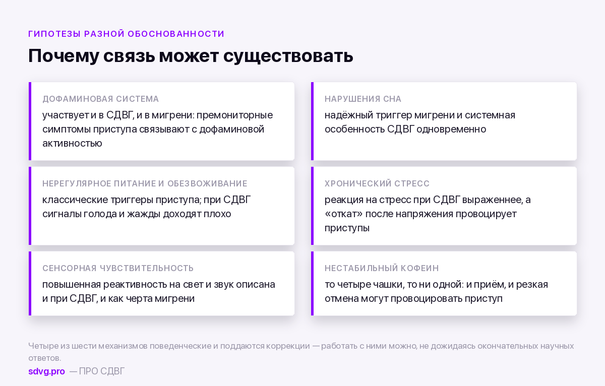 Возможные механизмы связи СДВГ и мигрени