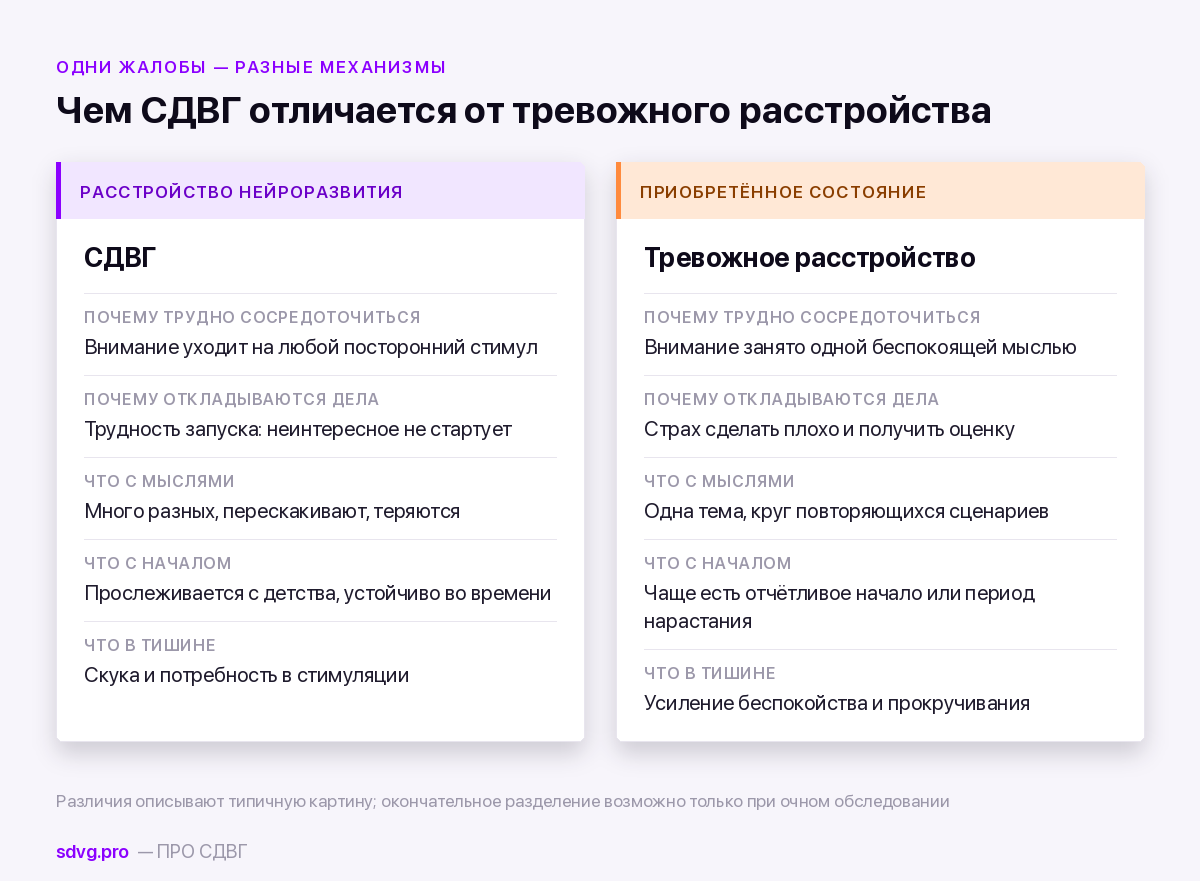 Различия СДВГ и тревожного расстройства по ключевым признакам