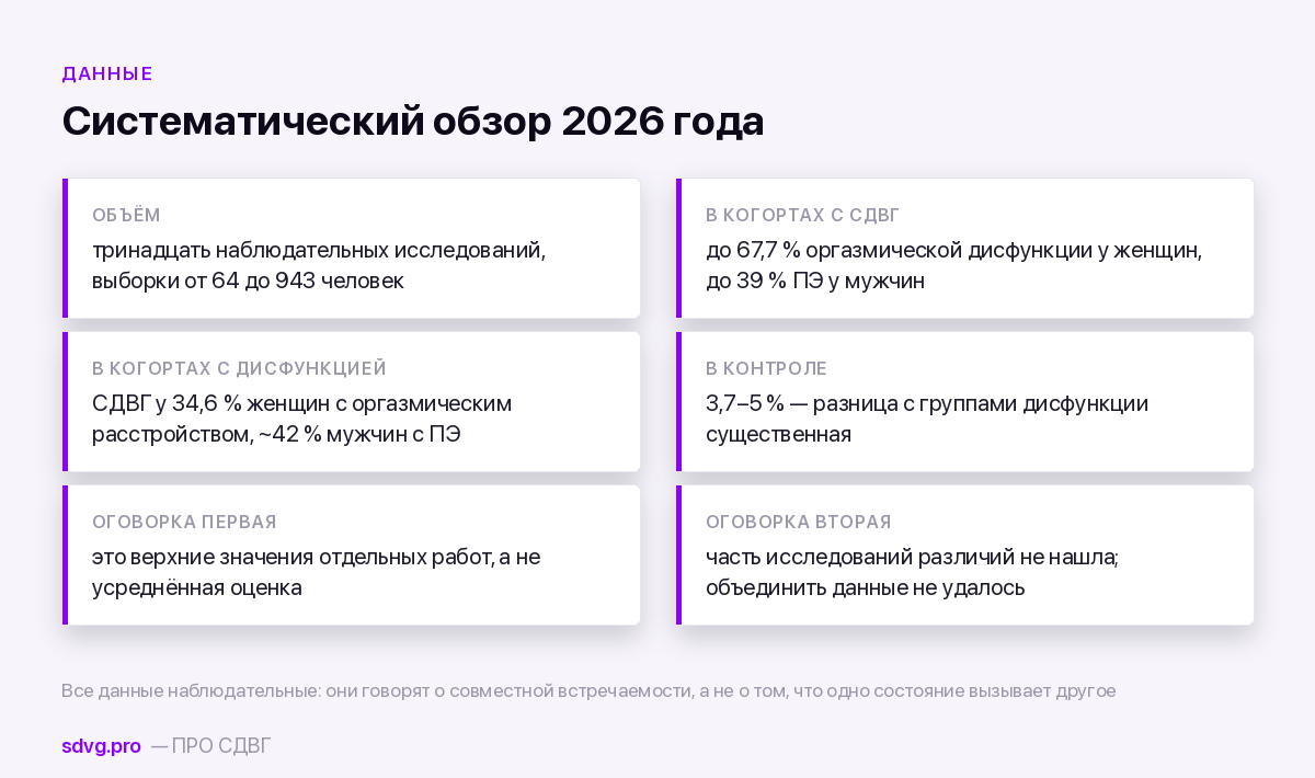 Данные обзора о связи СДВГ и сексуальных дисфункций
