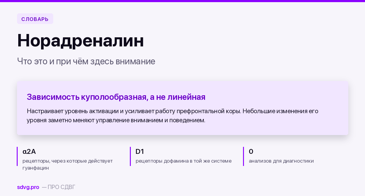 Норадреналин: что это и при чём здесь внимание 2 Норадреналин: определение и роль при СДВГ