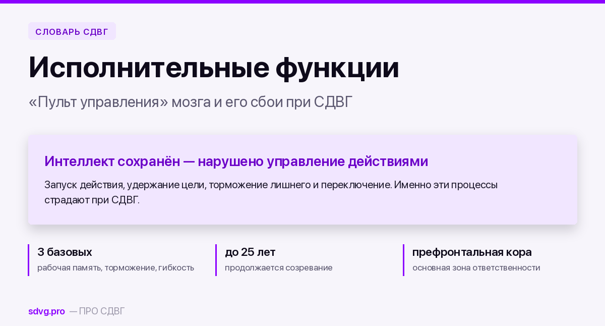 Исполнительные функции: что это такое