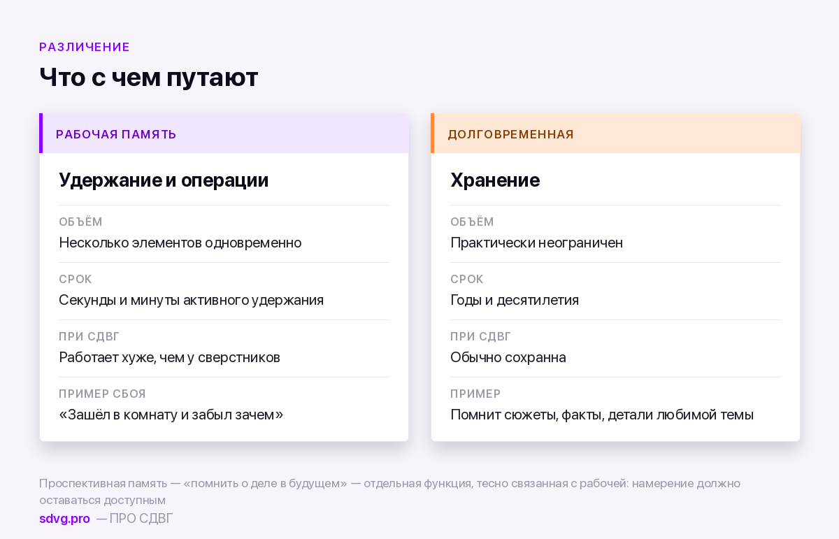 Рабочая и долговременная память