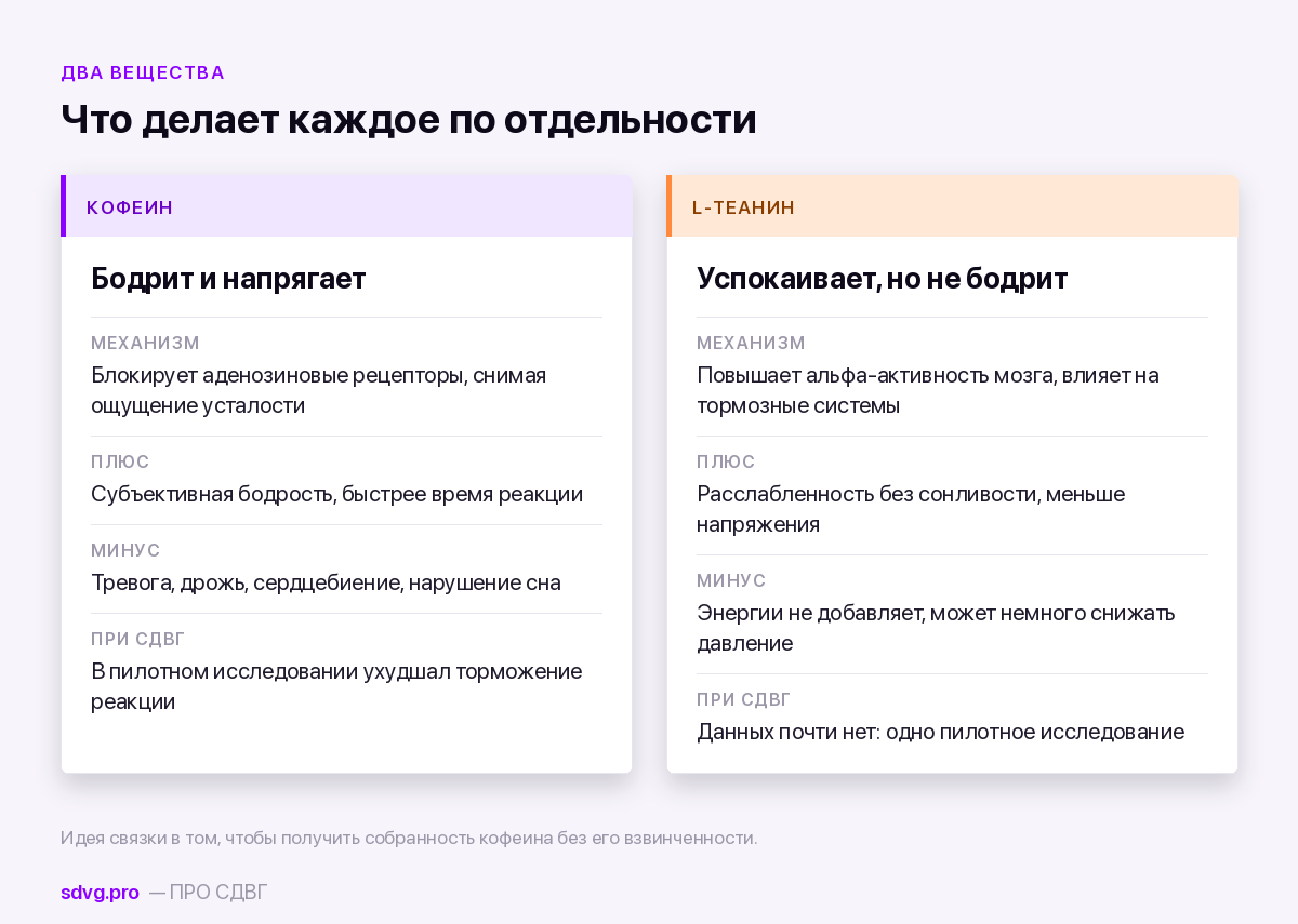 L-теанин при СДВГ и связка «кофеин + теанин»: что известно 3 Две колонки: механизм, плюсы и минусы кофеина и L-теанина по отдельности