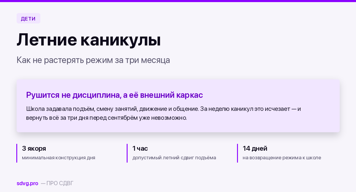 Летние каникулы при СДВГ: как не растерять режим