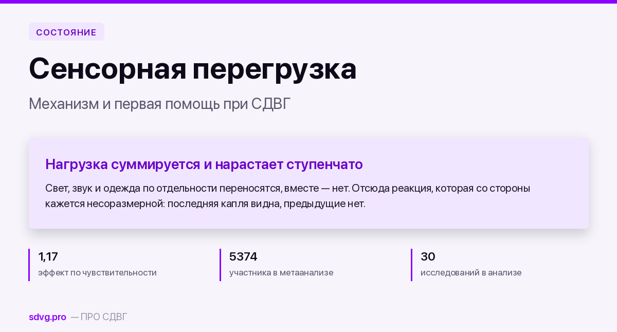 Обложка: как устроена сенсорная перегрузка при СДВГ и что показал метаанализ 30 исследований