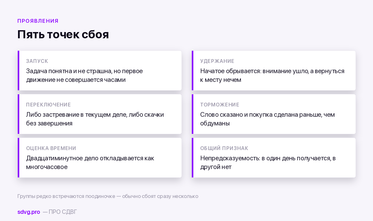 Пять групп проявлений исполнительной дисфункции