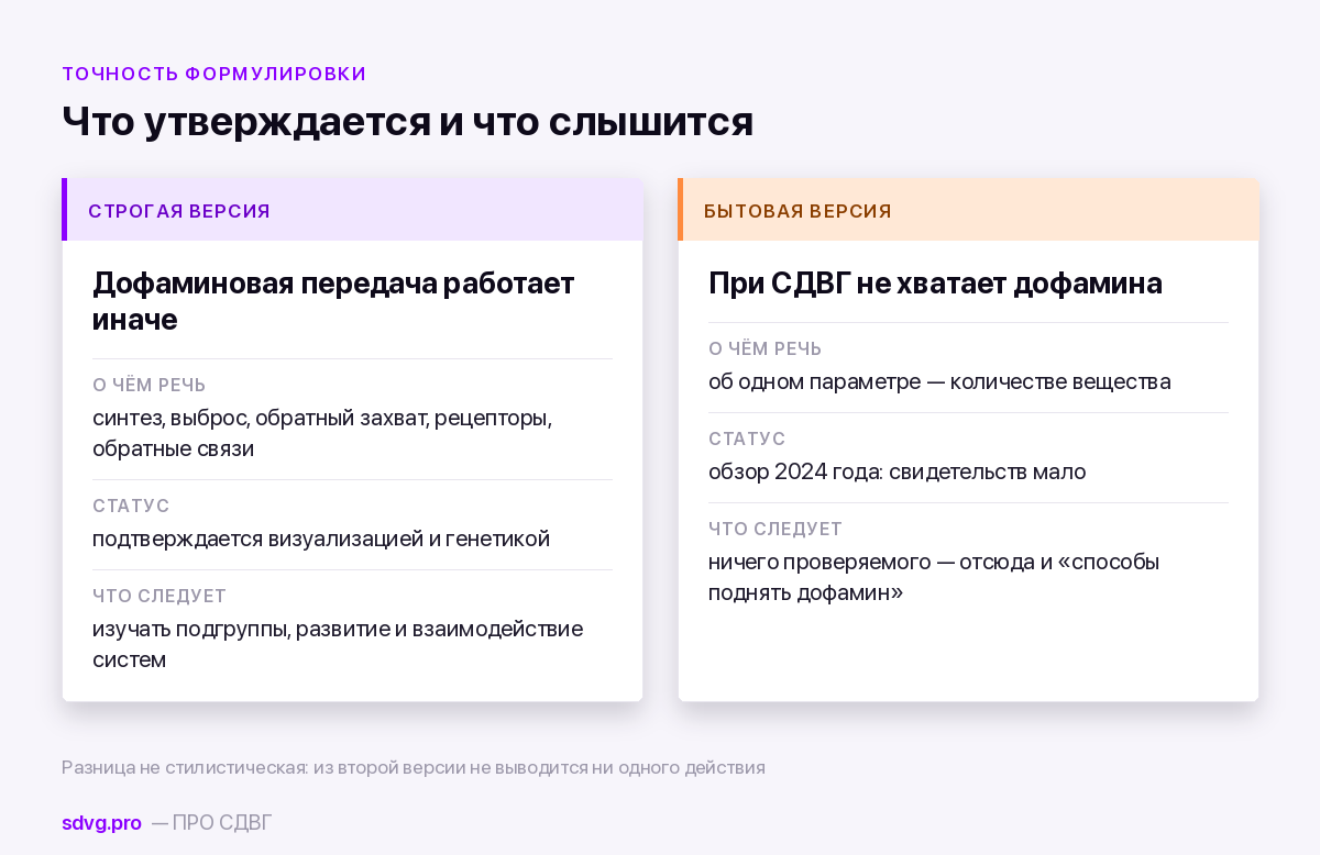 Дофаминовая гипотеза СДВГ: что доказано, а что упрощение 4 Строгая и бытовая формулировки гипотезы