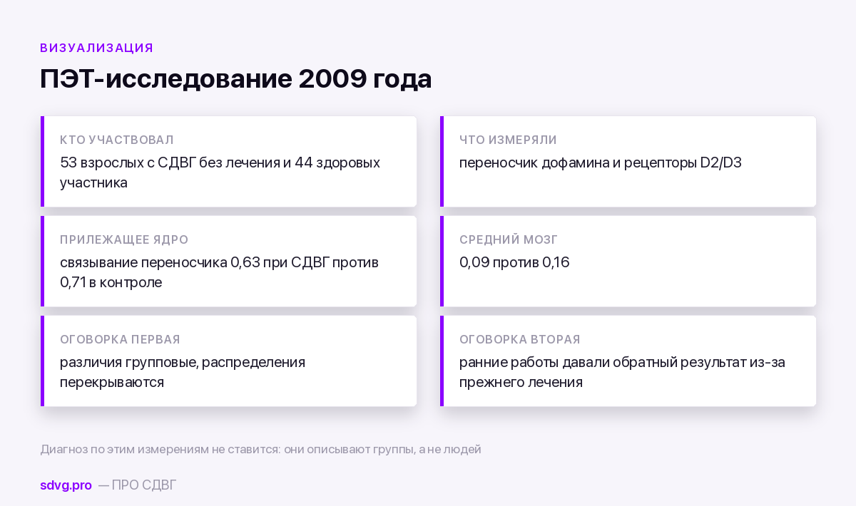 Дофаминовая гипотеза СДВГ: что доказано, а что упрощение 3 Что показала позитронно-эмиссионная томография при СДВГ