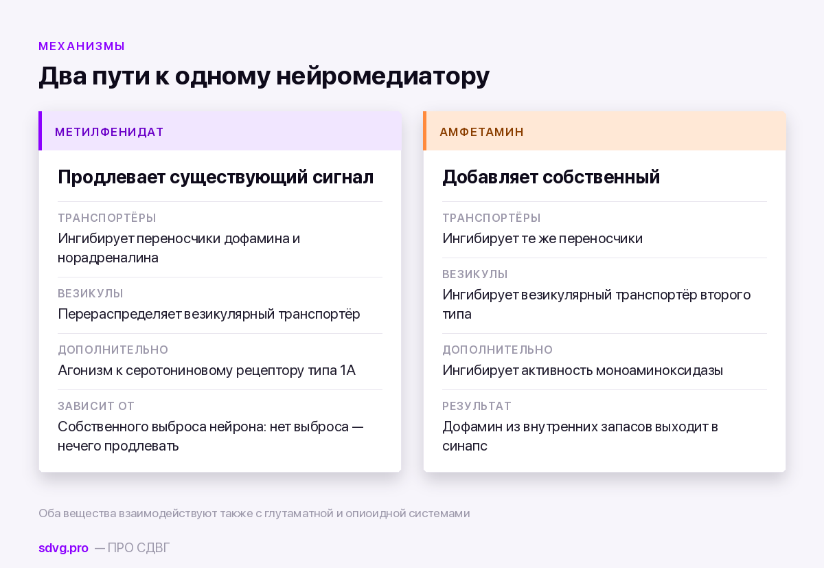 Метилфенидат и амфетамин: разница механизмов 3 Сравнение механизмов двух классов стимуляторов