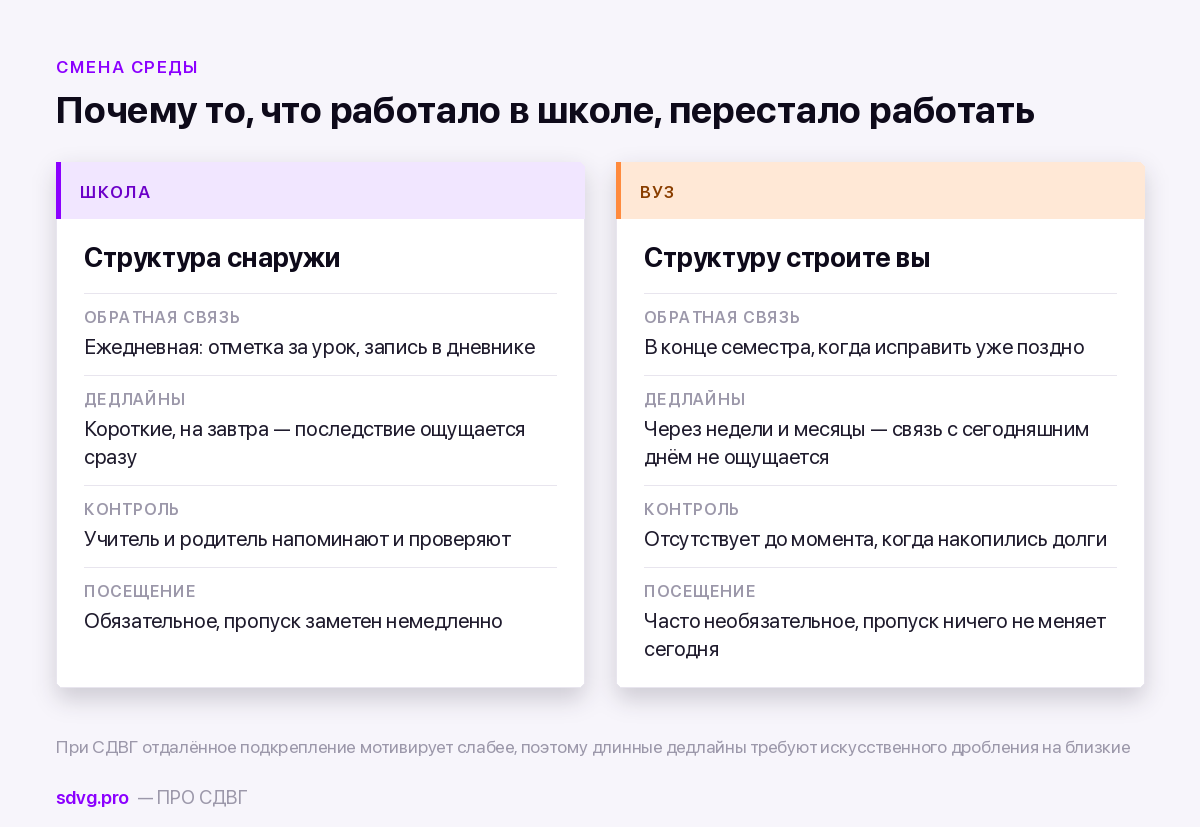 Школа и вуз: разница среды для студента с СДВГ