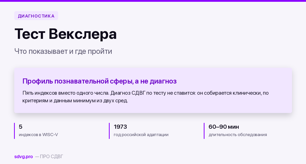 Тест Векслера: что показывает и где пройти