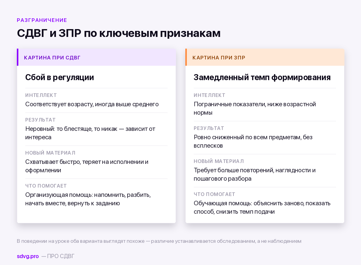 Сравнение СДВГ и ЗПР по ключевым признакам