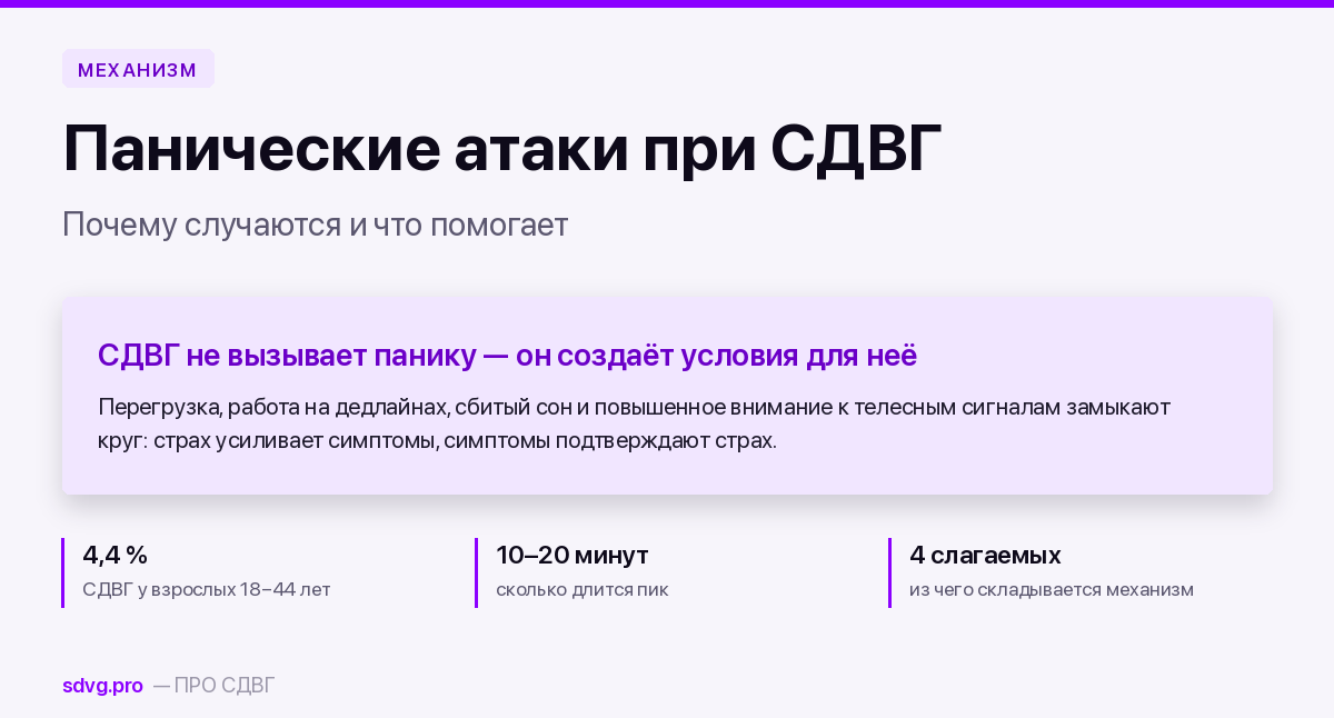 Панические атаки при СДВГ: почему случаются и что помогает 2 Панические атаки при СДВГ: механизм и что помогает