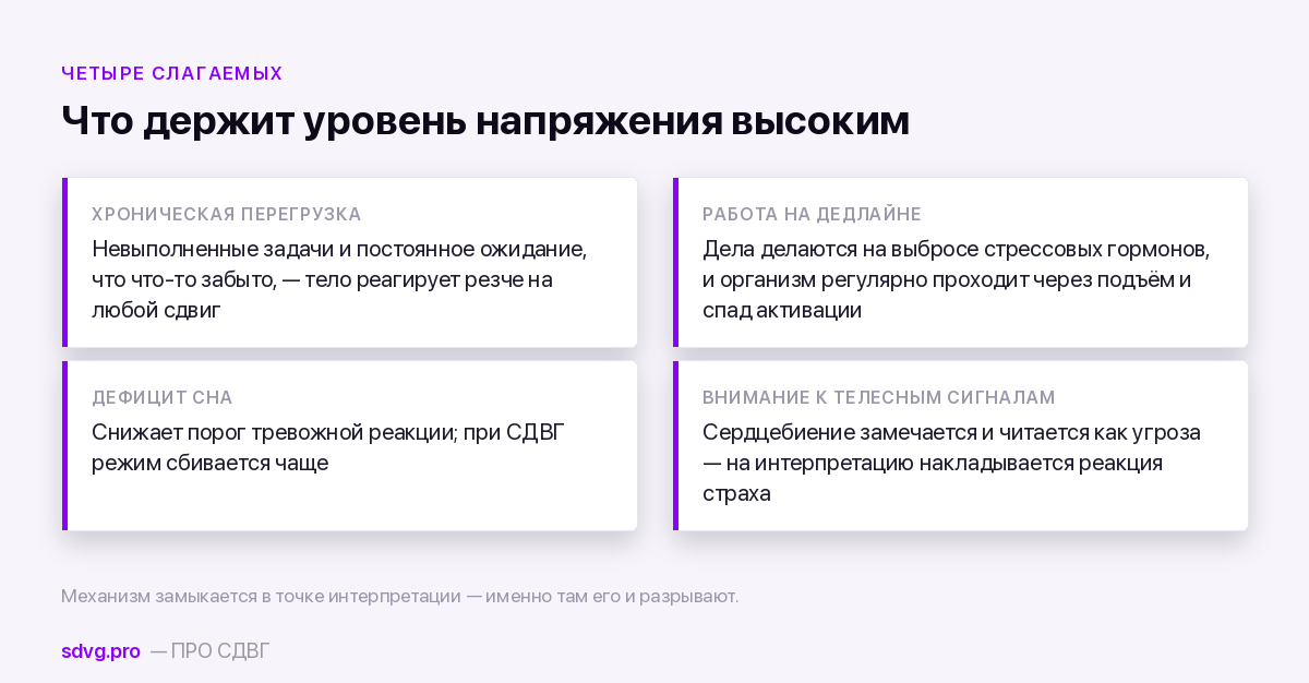 Панические атаки при СДВГ: почему случаются и что помогает 3 Четыре условия, из которых складывается паника при СДВГ