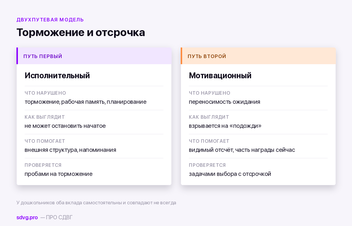 Два пути в модели СДВГ: исполнительный и мотивационный