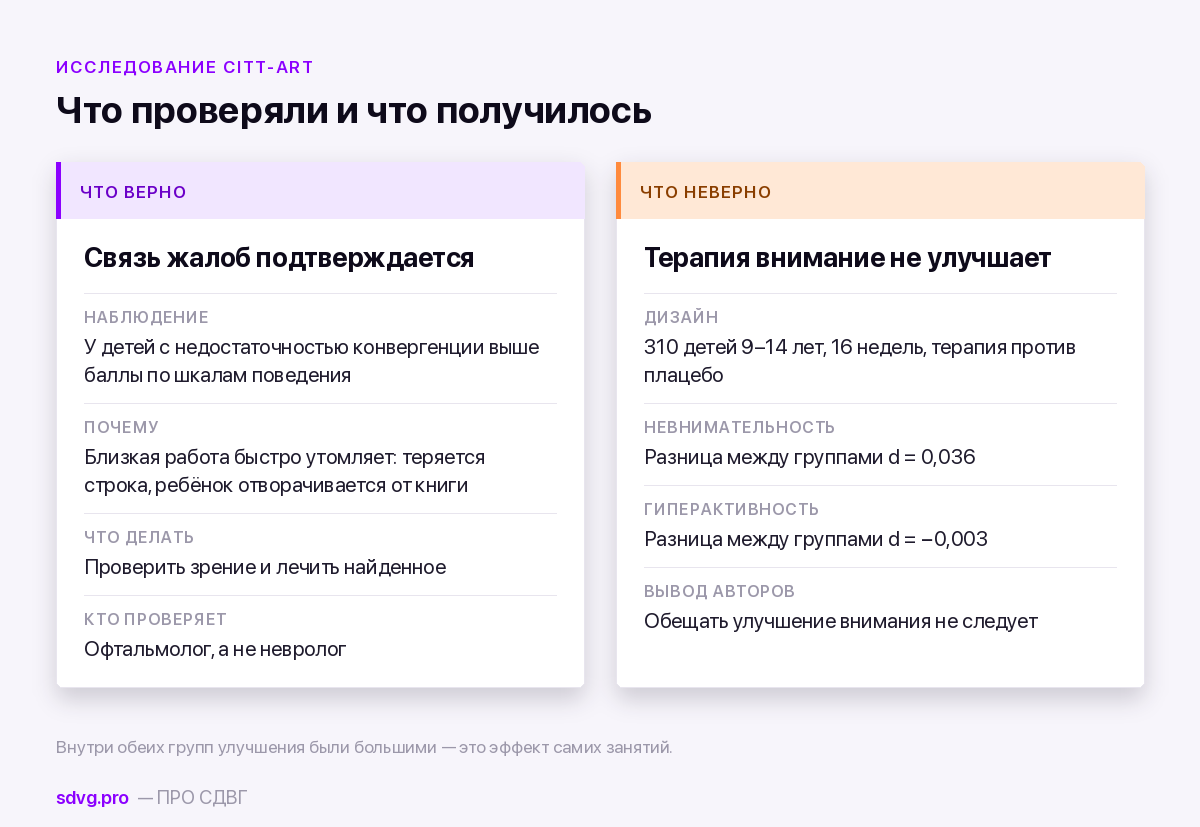 Зрительная терапия и внимание: что показало сравнение с плацебо