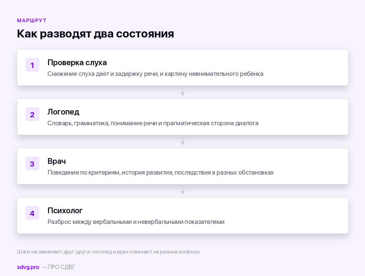 Порядок обследования при подозрении на речевые трудности и СДВГ