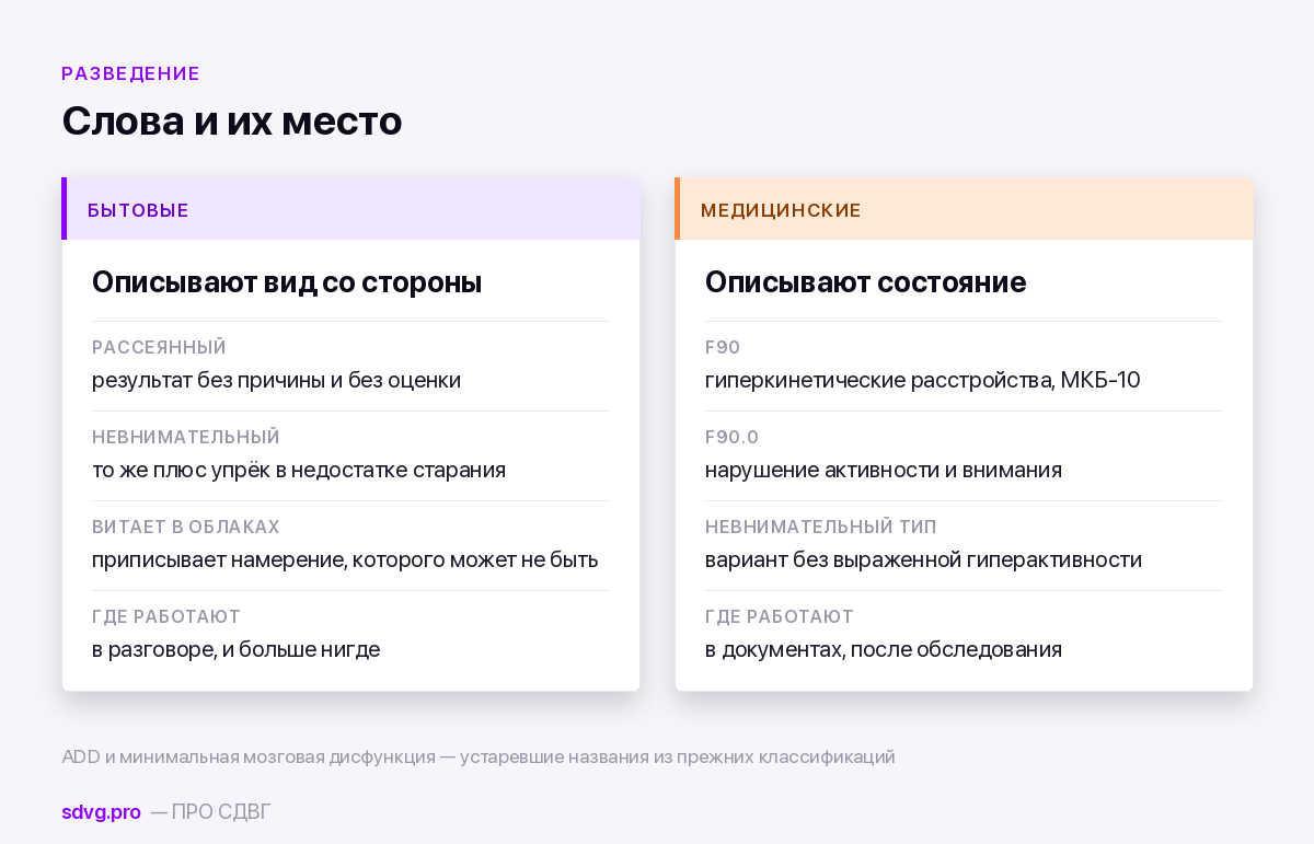 Как называют человека, которому не хватает внимания 3 Разведение бытовых и медицинских названий