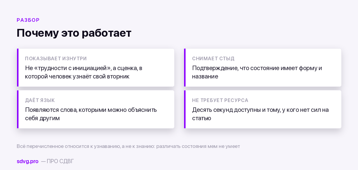 Что делает мем и чего он не делает