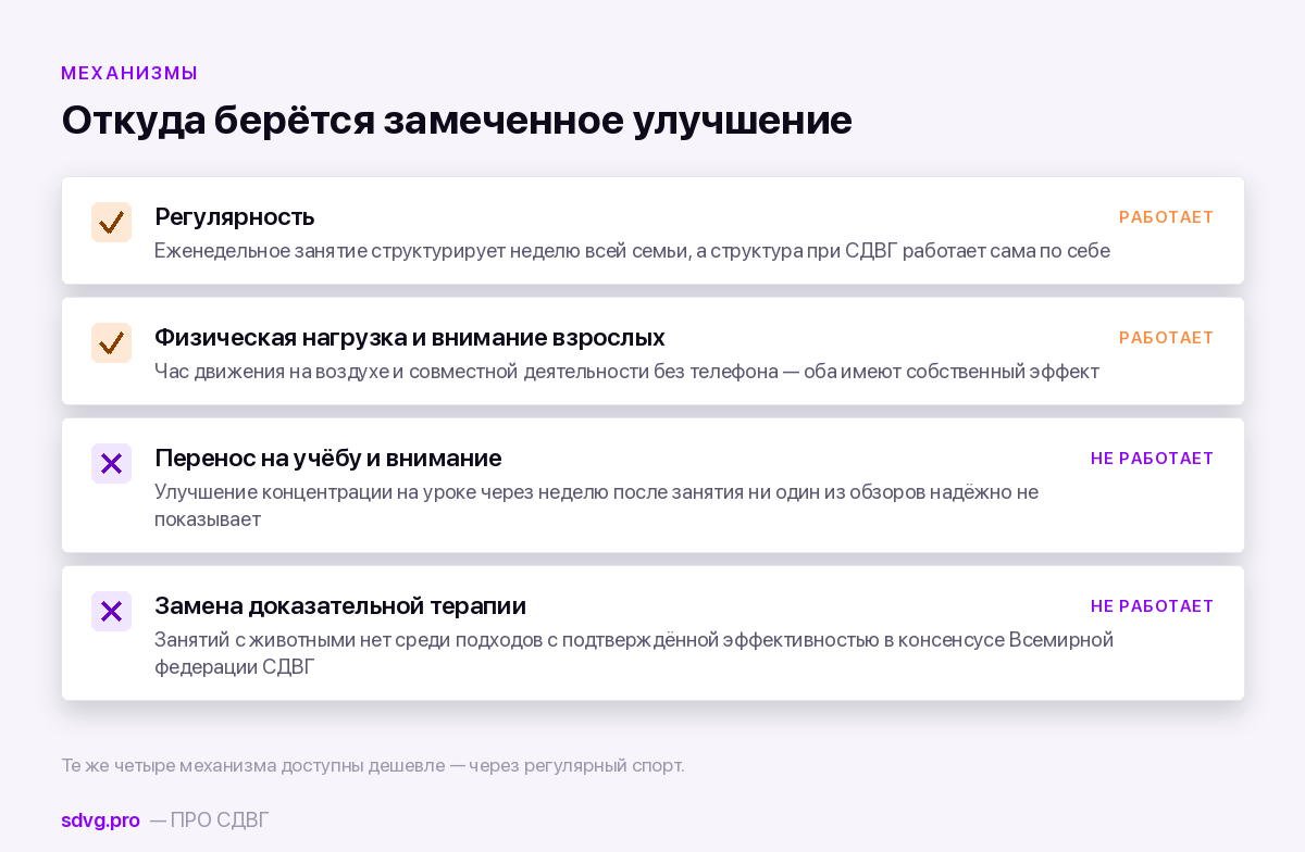 Что улучшается от занятий с животными и что не переносится