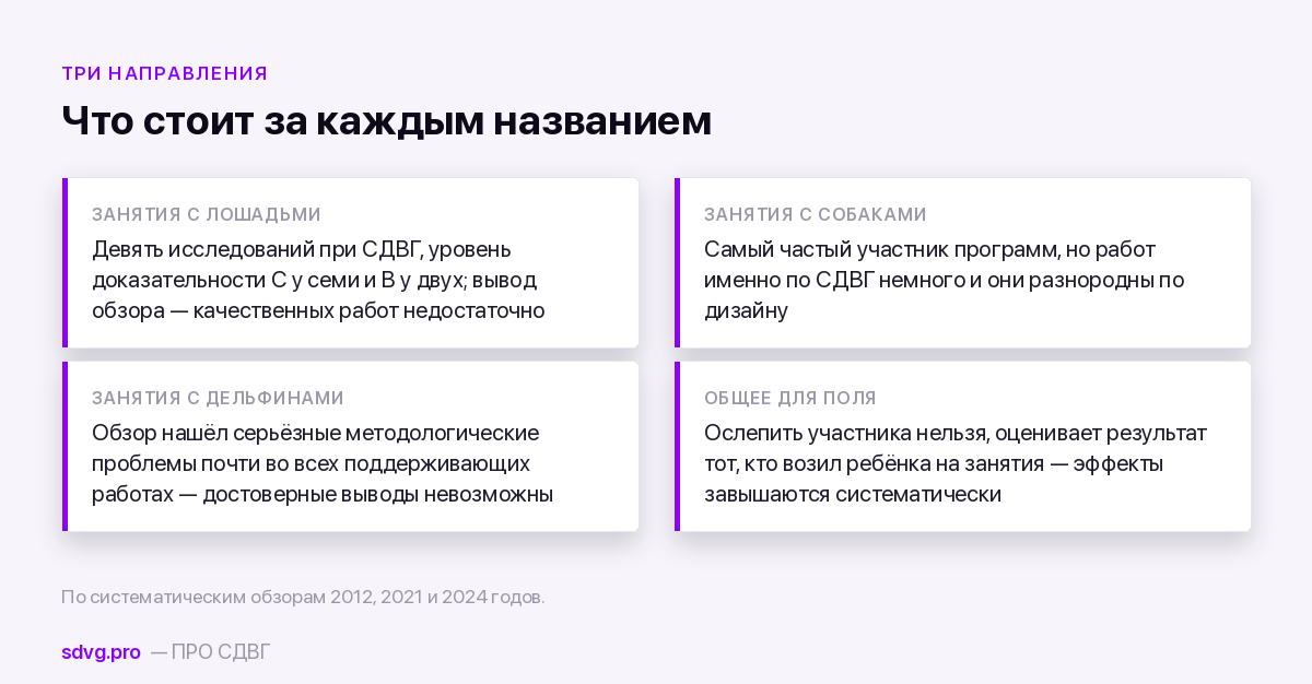 Три направления занятий с животными и объём данных по ним
