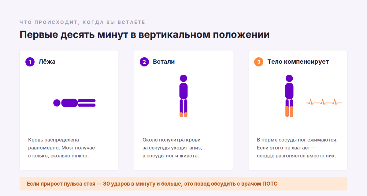 СДВГ и вегетативная дисрегуляция: ПОТС, ортостатика и то, что называют ВСД