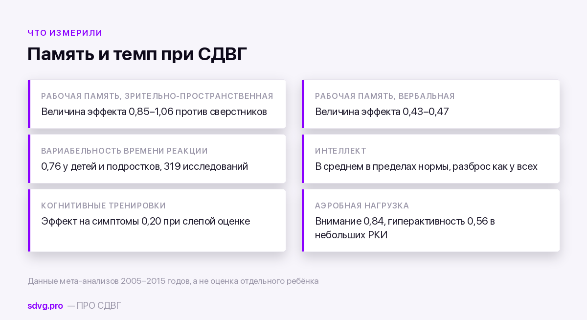 Что измерили мета-анализы: память и темп работы при СДВГ