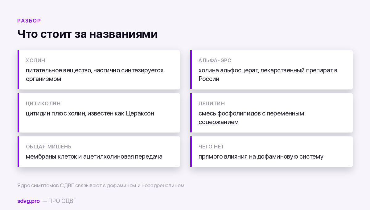 Чем различаются формы холина и где они зарегистрированы