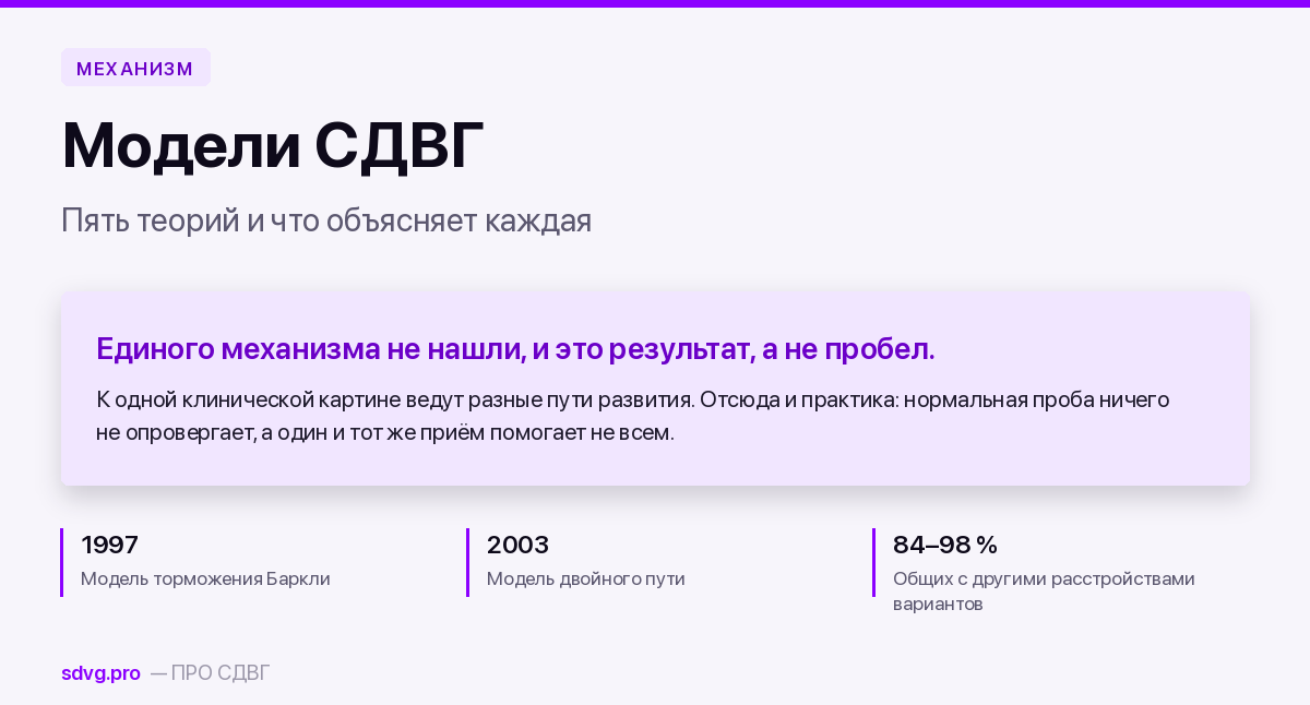 Модели СДВГ: пять теорий и что каждая объясняет