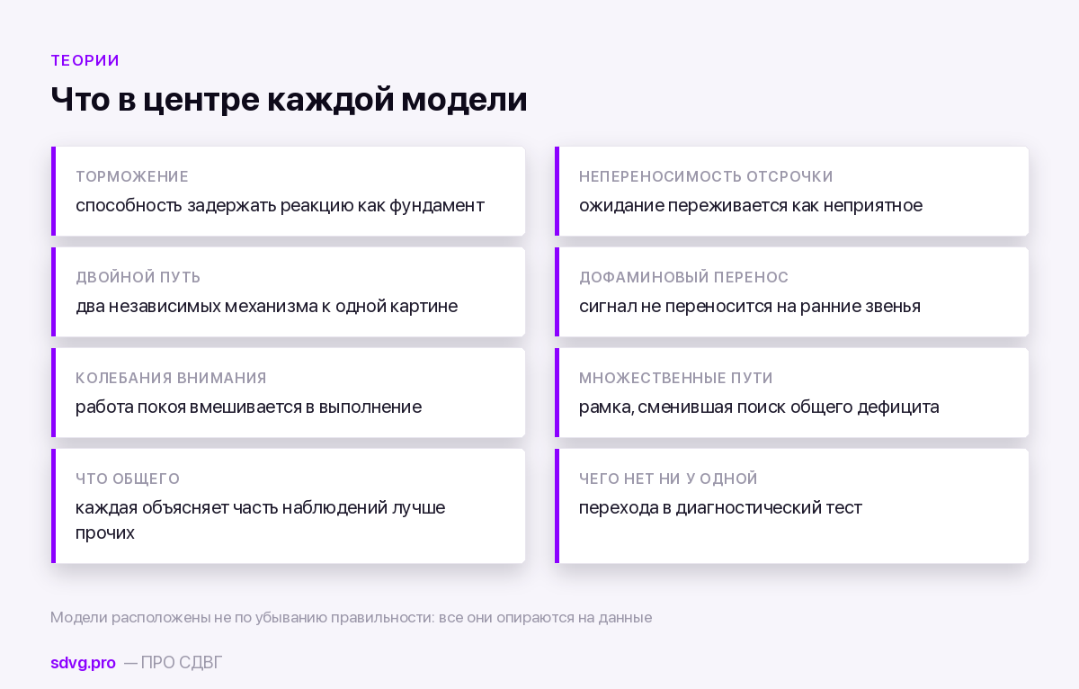 Что в центре каждой модели СДВГ