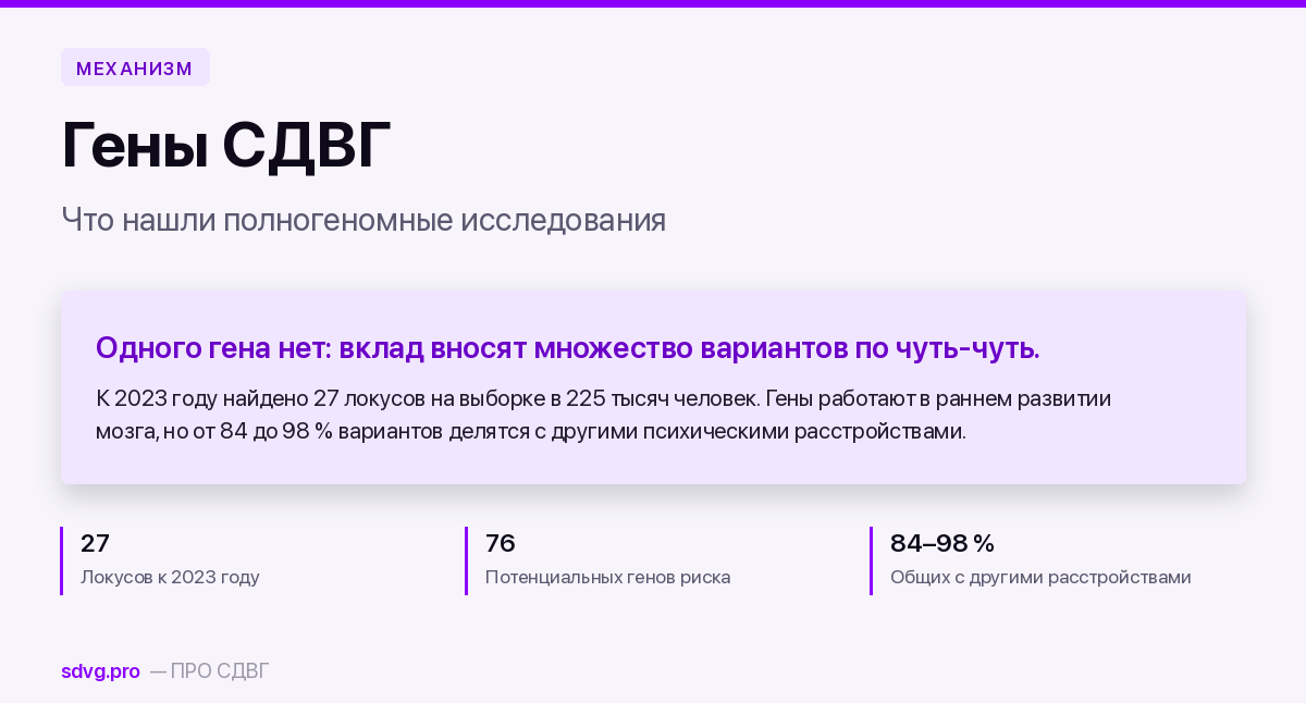 Гены СДВГ: что нашли полногеномные исследования 2 Гены СДВГ: что нашли полногеномные исследования