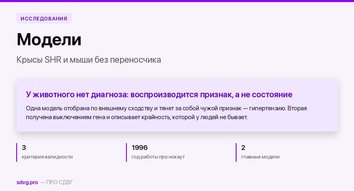 Обложка материала о животных моделях СДВГ