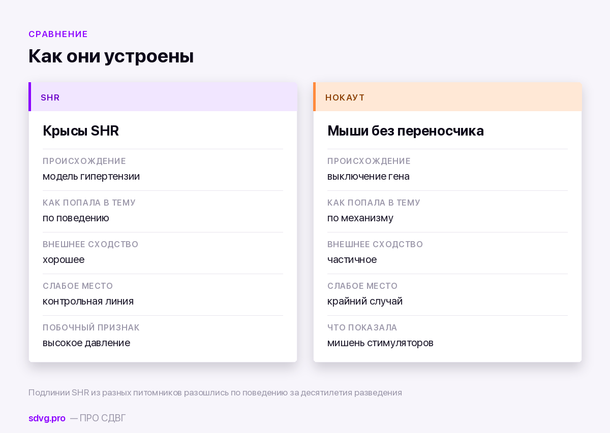 Сравнение двух главных моделей СДВГ