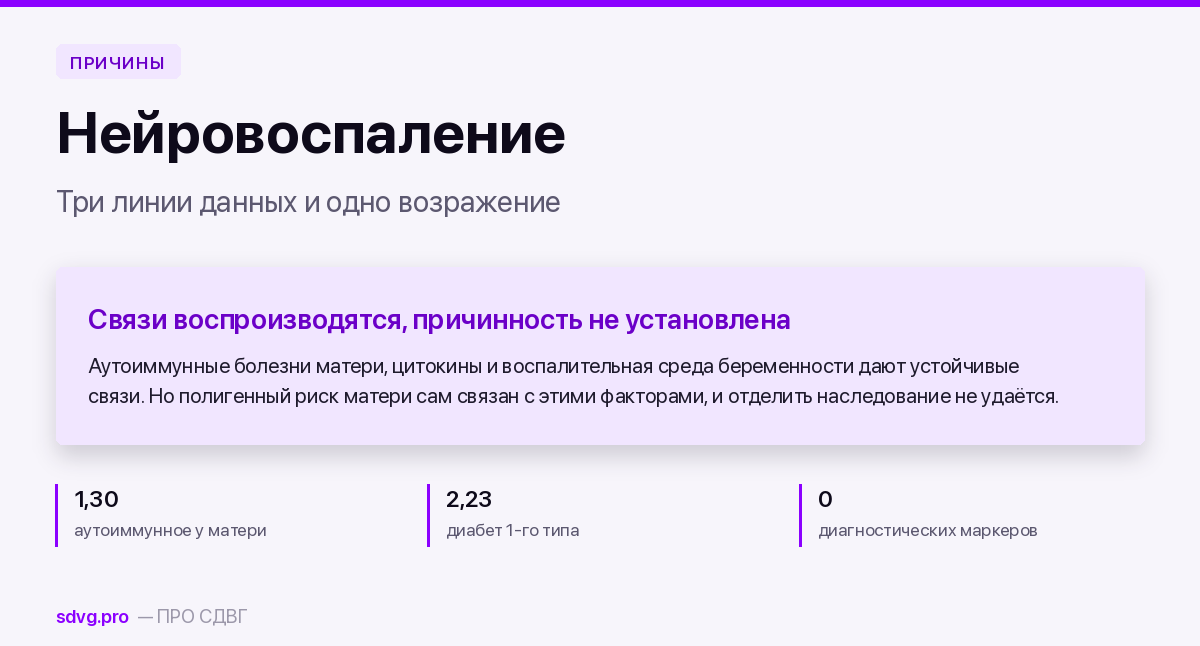 Обложка материала об иммунной гипотезе СДВГ
