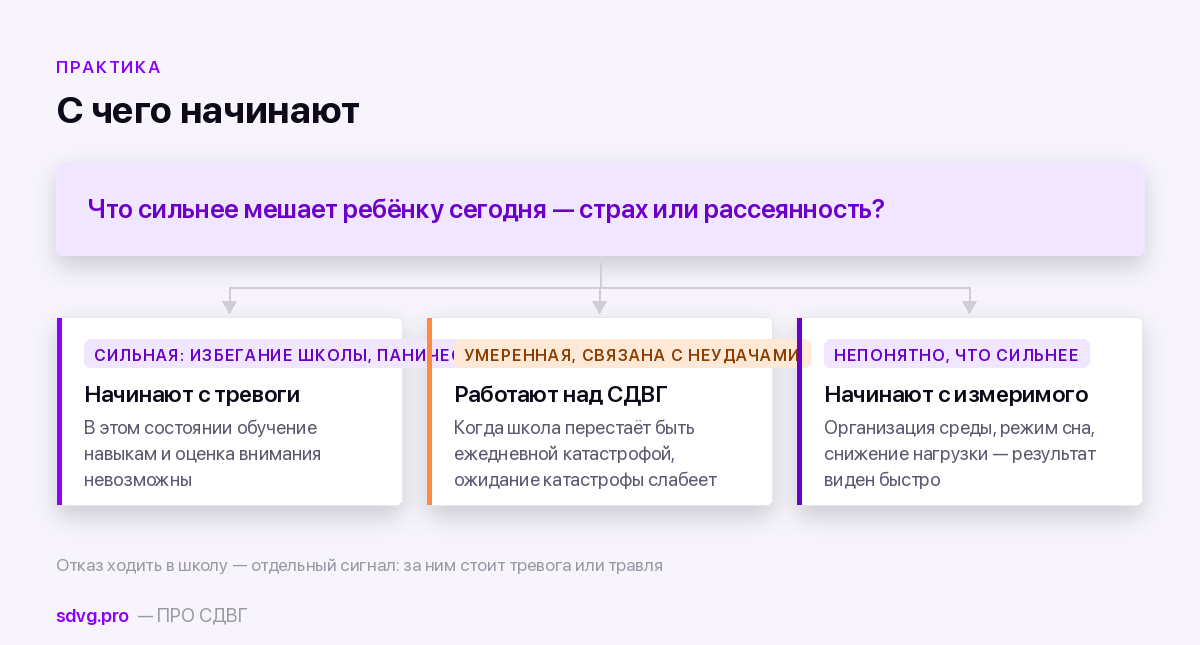 СДВГ и тревожность у ребёнка: как различить и с чего начать 3 Развилка: с чего начинать помощь при двух состояниях