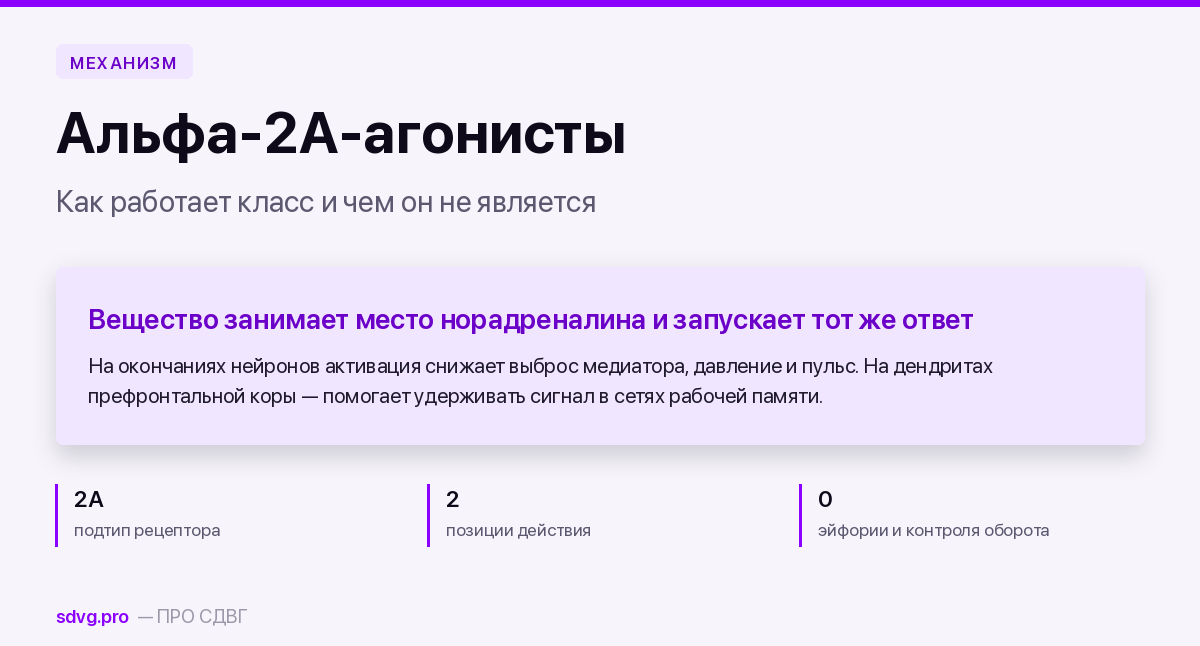 Альфа-2А-адреномиметик: что это за класс препаратов 2 Обложка материала о классе альфа-2А-адреномиметиков