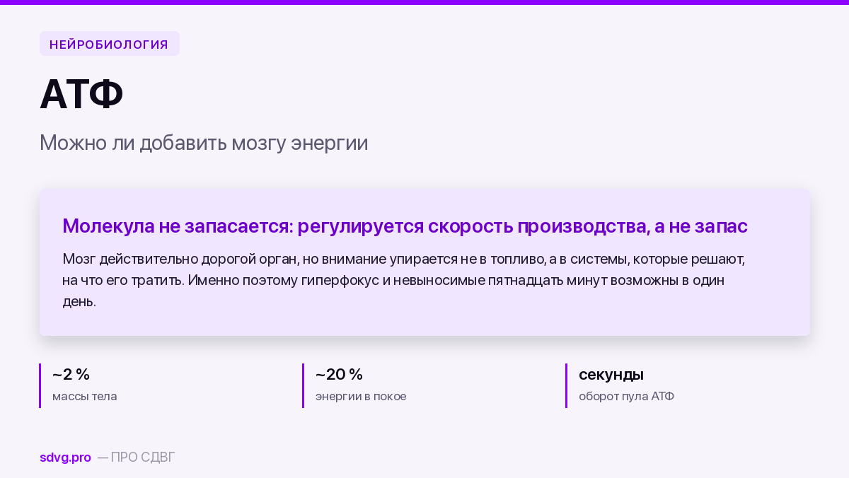 АТФ и энергетика нейронов: можно ли «добавить мозгу энергии» 2 Обложка материала об АТФ и энергетике нейронов
