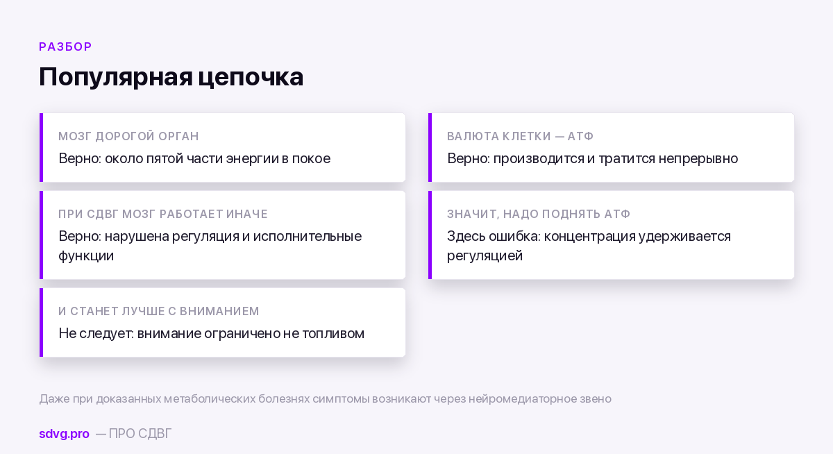 АТФ и энергетика нейронов: можно ли «добавить мозгу энергии» 3 Где рвётся цепочка рассуждений об энергии и внимании
