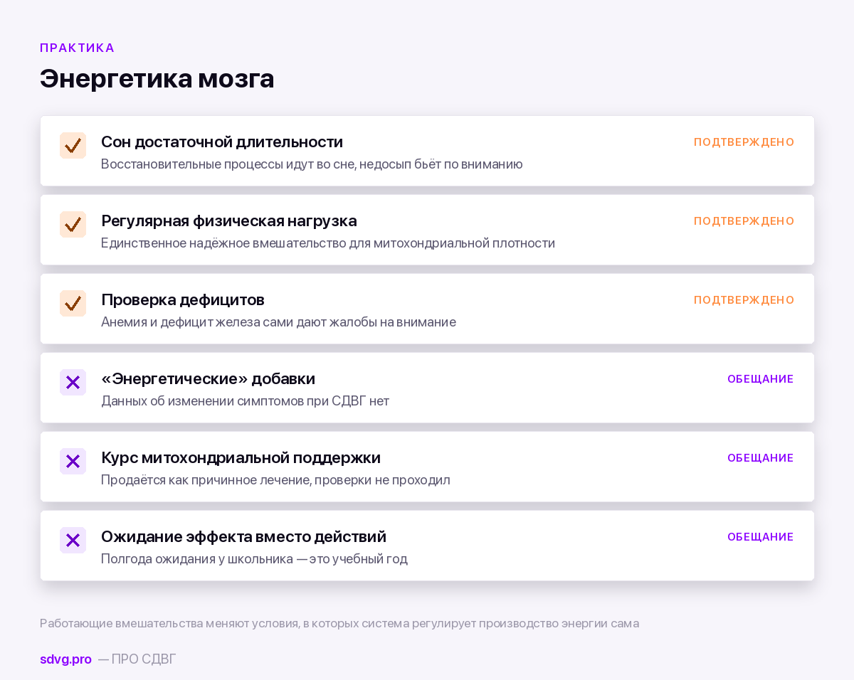 АТФ и энергетика нейронов: можно ли «добавить мозгу энергии» 4 Что поддерживает энергетику мозга, а что только обещает