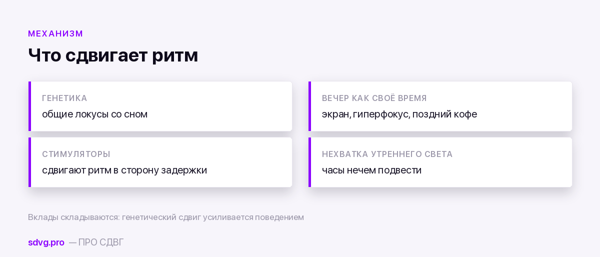 Четыре вклада в сдвиг внутреннего времени