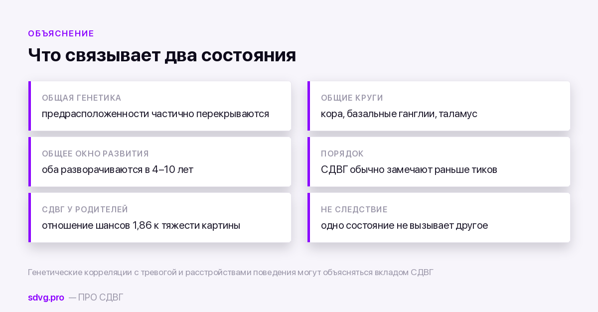 Синдром Туретта и СДВГ: почему они почти всегда вместе 3 Шесть плиток: общая генетика, общие мозговые круги, общее время развития, порядок появления, вклад родительского диагноза