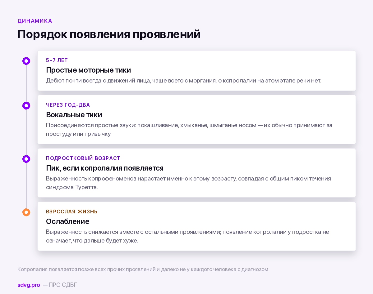 Четыре точки на оси времени: моторные тики, вокальные тики, копролалия в подростковом возрасте, ослабление во взрослом