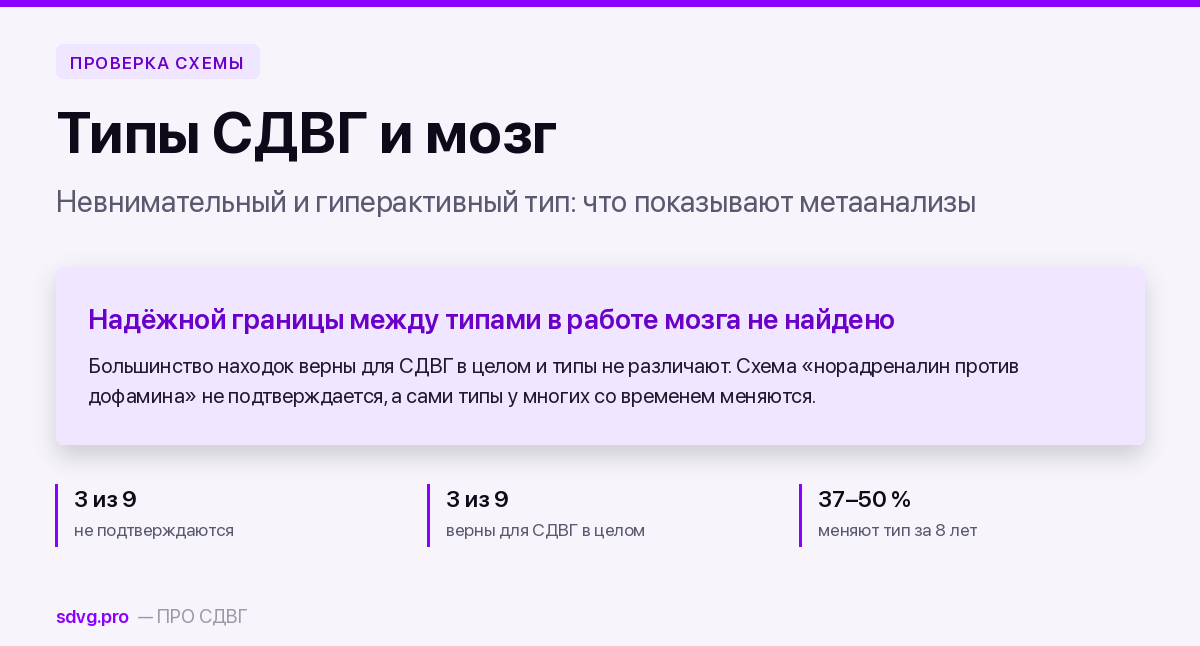 Обложка материала о нейрофизиологии типов СДВГ