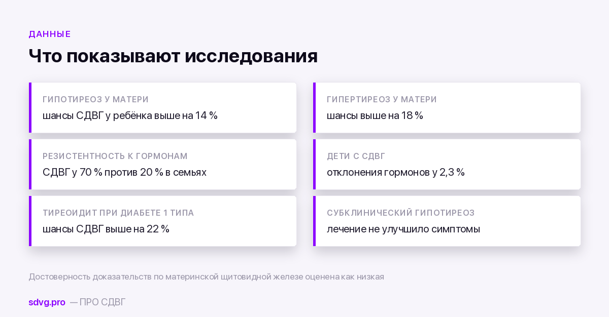 Что показывают исследования связи щитовидной железы и СДВГ