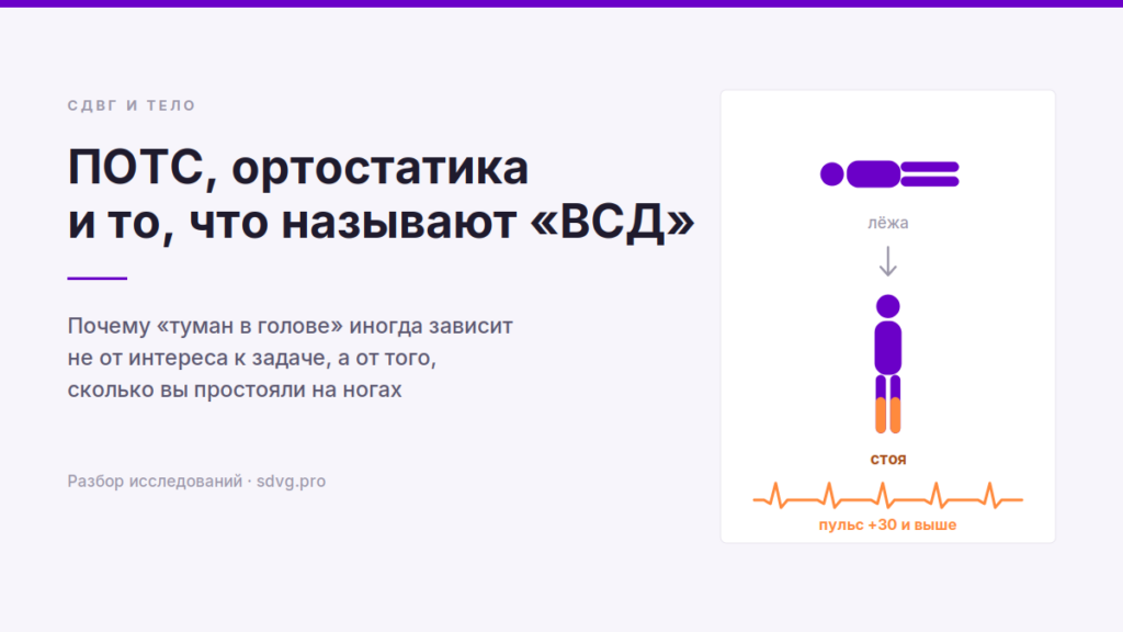 Схема: лёжа кровь распределена равномерно, стоя часть её оседает в сосудах ног